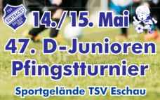TSV Eschau Fussball Jugend Pfingstturnier